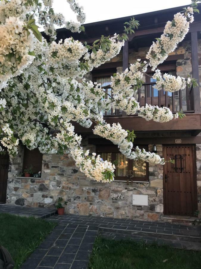 Casa Rural Magdalena Villa Espinareda de Vega Exteriör bild
